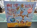 Public Image Ltd What the World Needs Now (Vinyl) 12