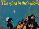 BLONDIE WIND IN THE WILLOWS S/t VINYL LP AUSTRALIA PROMO 1968 psych rare FIRST P