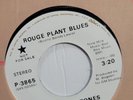 STIX AND STONES Rouge Plant Blues / Rouge Plant 45 EX  c2