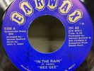 Wee Gee In The Rain Problems Sweet Soul Funk 45 on Earwax