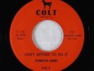 Blues R&B 45 - Homesick James - Can't Afford To Do It - Colt - VG+