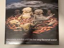 Limp Bizkit Chocolate Starfish & The Hot Dog Flavored Water Vinyl Record New