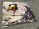 Circa Survive - The Amulet (LP, Black + Clear Blue Splatter Split) | Free S&H
