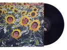 Sunnyboys Vinyl Record Individuals LP Gatefold