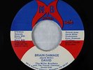 Private Rock/Funk 45 - David - Brain Damage - MB - unknown?