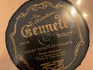 Gennett 6065 Ernest Stoneman w  Kahle Brewer SWEET BUNCH DAISES Country 78rpm E-