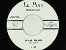 R&B Soul 45 - Ohio Untouchables - What To Do - Lu Pine