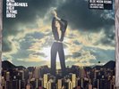 Noel Gallagher's High Flying Birds - Blue Moon Rising - Vinyl Record Album