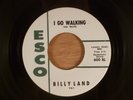 Billy Land  I Go Walking/You're Too Much  R&B, Mod Soul 1960 Esco