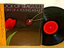 SHRINK A FLOCK OF SEAGULLS STORY OF YOUNG HEART ORG JAPAN 28AP-2923 OBI