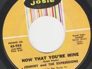 JOHNNY AND THE EXPRESSIONS 1966 NORTHERN SOUL 45 SHY GIRL /NOW THAT YOU'RE MINE