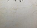 Unique Julian Cope signed vinyl PHASE 1/2/3/4 typewritten Notes Peggy Suicide