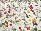 Prince And The Revolution - When Doves Cry (12