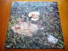 KOZMIC MUFFIN Space Between Grief ..SPANISH PSYCH PROGRESSIVE ROCK - ORIGINAL LP
