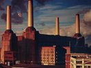 Pink Floyd Animals (Vinyl) 12
