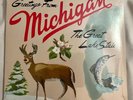 Sufjan Stevens - Greetings From Michigan: The Great Lake State 2 x Vinyl, LP, Al