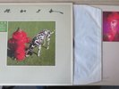 RUSH SIGNALS ORIGINAL FRENCH PRESS WITH ORIGINAL HYPE STICKER, NEIL PEART,