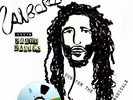 ALBOROSIE MEETS THE ROOTS RADICS Dub For The Radicals LP NEW VINYL Greensleeves