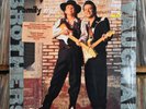 VAUGHAN BROTHERS  'FAMILY STYLE'  MASTERDISK SHRINK/HYPE/PRICE/RICE NEAR MINT