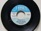 1967 UNRELATED SEGMENTS 45 Record STORY OF MY LIFE / IT'S UNFAIR * Garage Rock *