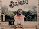 Dennis Wilson - Bambu (The Caribou Sessions) Green Vinyl LP RSD 2017 NM