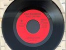 LYNYRD SKYNYRD WHAT'S YOUR NAME NM- RARE 1977 RED STAR LABEL PROMO 45 7'
