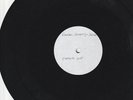 REGGAE VINYL DUBPLATE 10