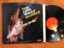 LINK WRAY LP rumble original 1st vinyl 1974 pd6025 ray men vinyl rock n roll rar