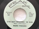 HEAR  MINNESOTA GARAGE  - MORE-TISHANS - NOWHERE TO RUN -Peak Records -VG+