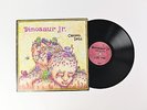 Dinosaur Jr. - Chocomel Daze on Merge Ltd Edition