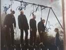 The Stranglers Giants album collectors 