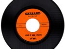 Tyme. Love Is All I Have / You Ain't Going Nowhere. 45 rpm