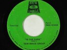 70s Soul Funk 45 - New Image Group - In The Park - New Image - rare