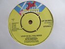 RITA WRIGHT   TOUCH ME TAKE ME  / LOVE IS ALL YOU NEED - MODERN SOUL 1978 - MINT