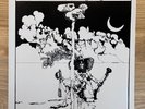 MELLOW CANDLE - Swaddling Songs reissue LP (acid folk freak private press)