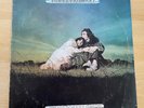 JOHN AND BEVERLEY MARTYN - STORMBRINGER - UK LP - 1ST - 1970 - ISLAND ILPS-9113
