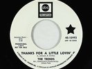 Northern Soul 45 - Trends - Thanks For A Little Lovin' - ABC - VG++