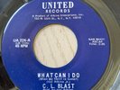 RARE SOUL  C.L. BLAST  what can i do   UNITED 224  MINTY NEW OLD STORE STOCK