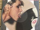 Blondie Parallel Lines 1978 Limited Edition Vinyl Picture Disc LP