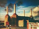 PINK FLOYD - Animals (reissue) - Vinyl (gatefold 180 gram vinyl LP)