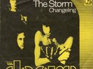 The Doors ‎– Riders On The Storm / Changeling - Vinyl - Single 7