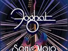 FOGHAT SONIC MOJO NEW LP