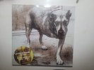 Alice In Chains Self Titled Vinyl Tripod On Green Vinyl Sealed NEW