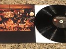 The Cardigans Long Gone Before Daylight LP vinyl record
