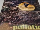 FRANCO BATTIATO - POLLUTION (LP VINILE COLORATO NUOVO SIGILLATO GATEFOLD 2023)