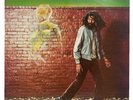 DON CARLOS - Just A Passing Glance * Vinyl Lp * 1984 * RAS3008 * Free P&P UK *