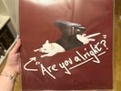 Lovejoy Are You Alright?/Pebble Brain Vinyl