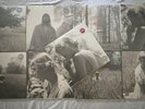 Taylor Swift Folklore ALL COLOR VARIANTS - OG Presses - 2020 USA