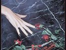 Ministry With Sympathy (Vinyl)