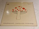 MUSHROOM EARLY ONE MORNING Original Vinyl LP Rare Irish Psych Folk 1973 halpx116